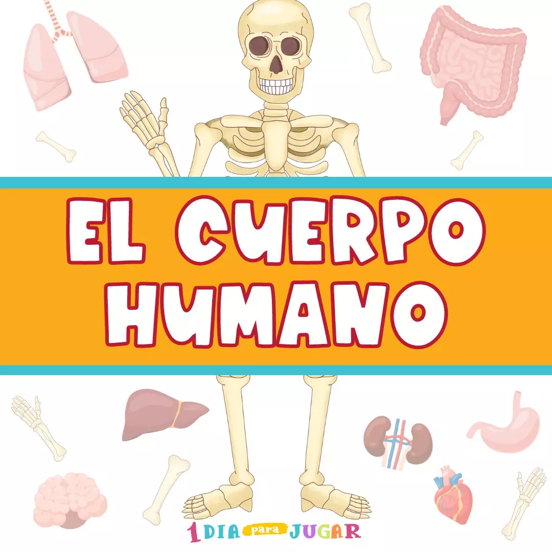 partes del cuerpo humano para niños para imprimir